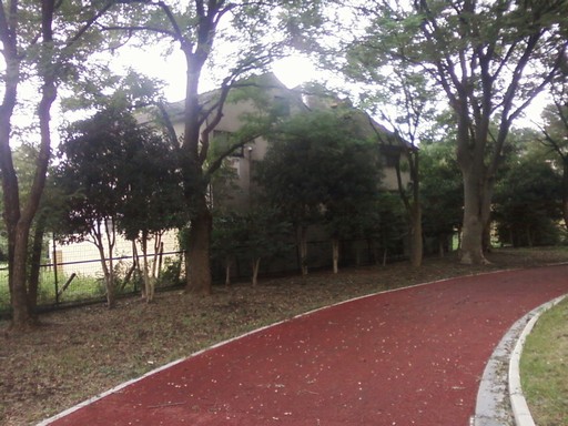 公園から見た被害者宅